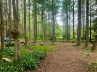 Pack 289 Fall 2025 Campout 